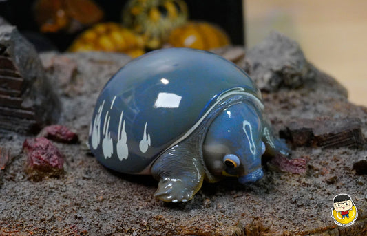 Animal Planet - turtles - Carettochelys insculpta