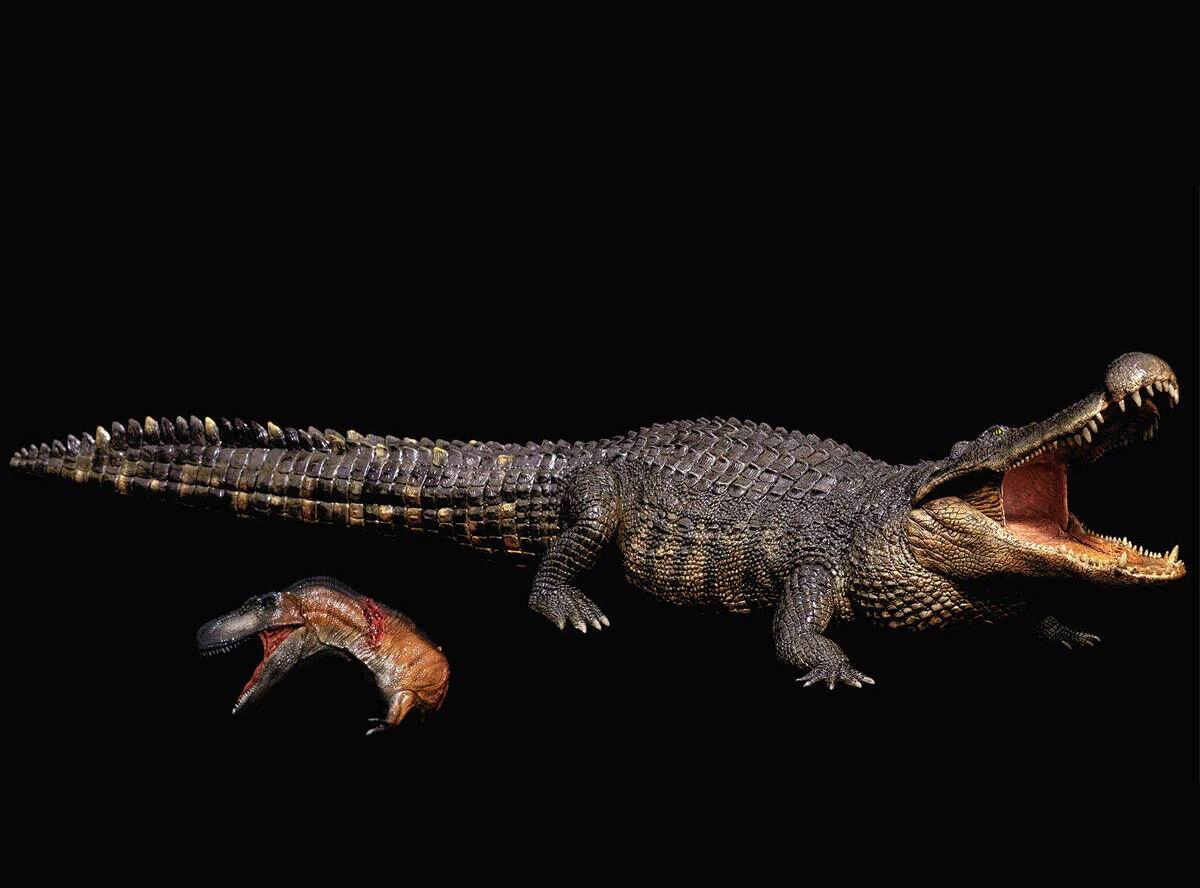 REBOR Deinosuchus scale 1/35 Action figure dinosaur